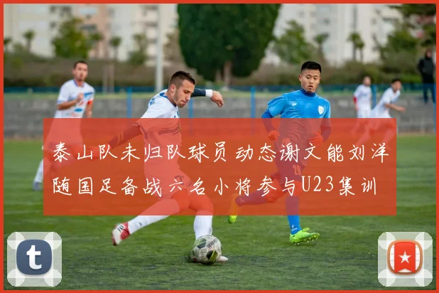 泰山队未归队球员动态谢文能刘洋随国足备战六名小将参与U23集训